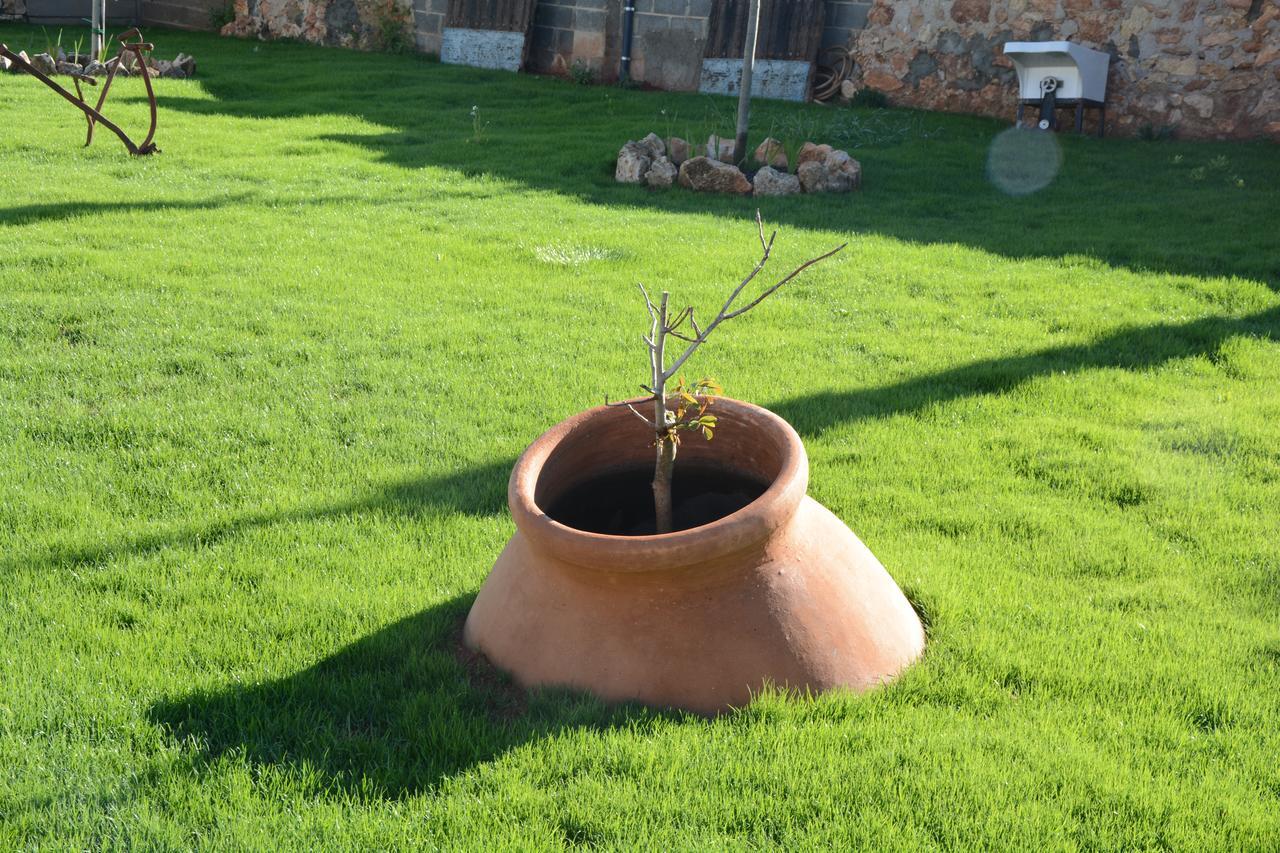 Casa Rural Aromas De La Manchuela Alborea Exteriér fotografie